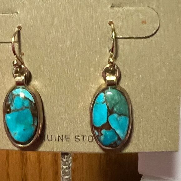 NWT Barse Genuine Stones Dolce Teal Blue Turquoise Matrix Golden Drop Earrings - Picture 4 of 6